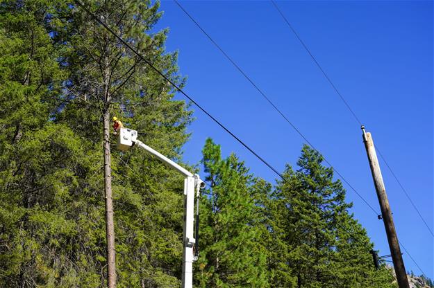 A lineman trims trees close to a power line