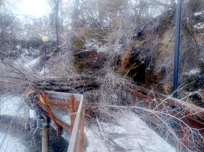 riverwalk boardwalk 1 fallen trees on part of Riverwalk Park trail